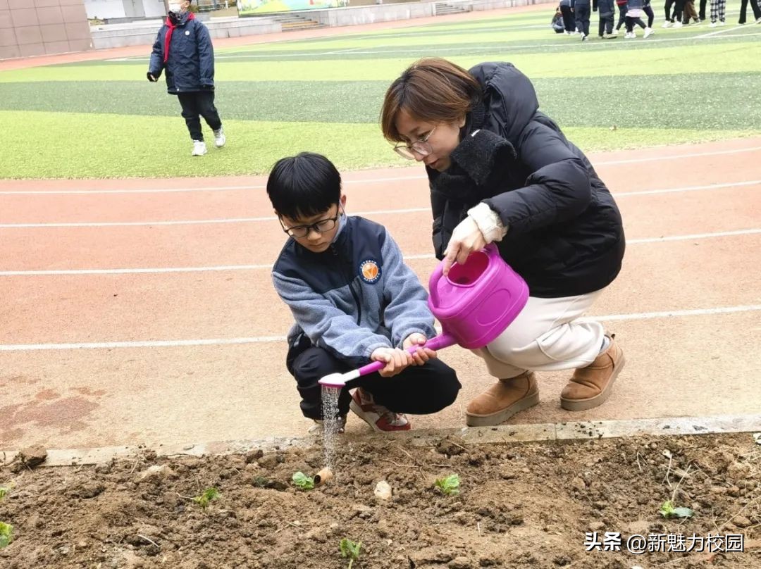 劳动创造幸福创意活动小学,劳动创造美好生活小学活动