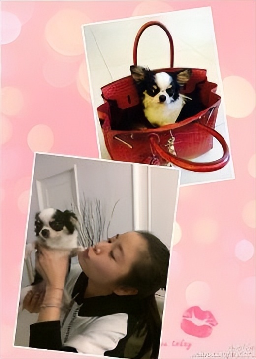 林心如百亿资产,隐藏亿万富婆后续