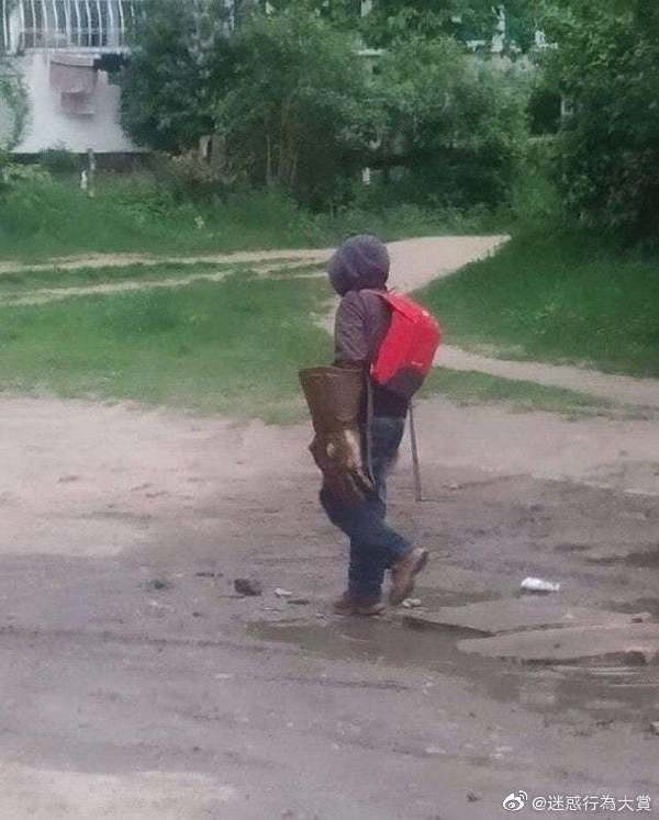 有趣又搞笑的动图,搞笑动图大杂烩