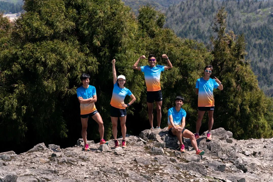 从阿尔卑斯山脉滑雪下来,从阿尔卑斯山飞下去