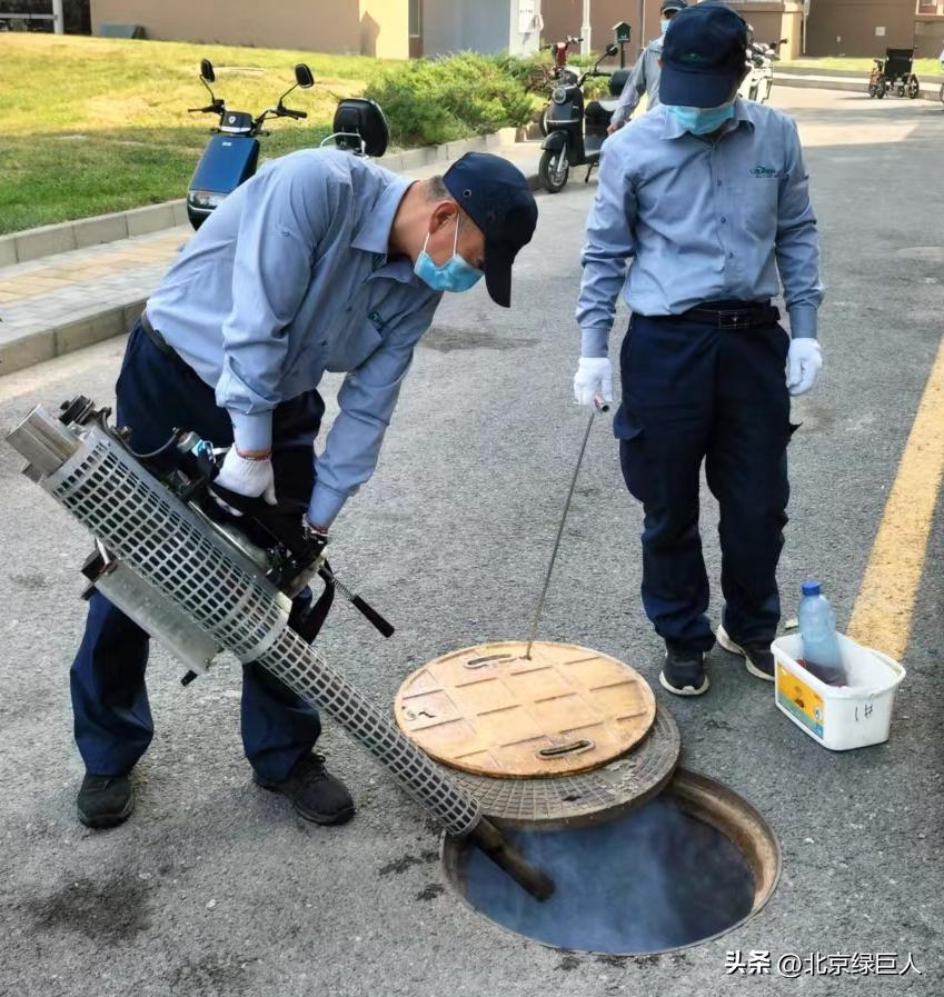 曾黎抖音完整视频,尊龙电影完整视频