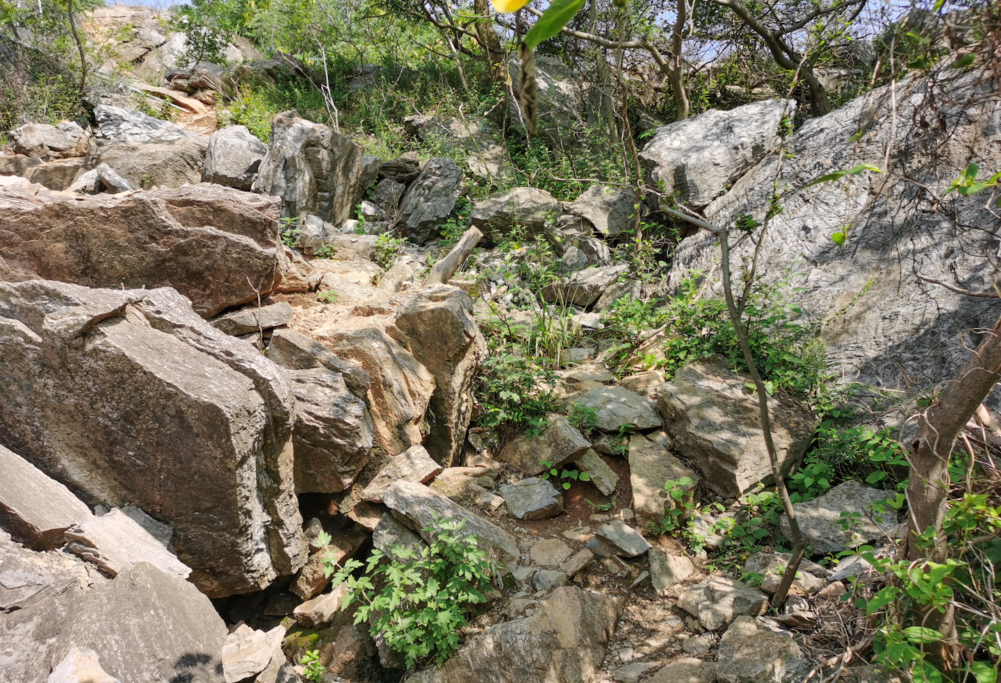 背包小鹰osprey,小鹰魔爪26背包功能详解