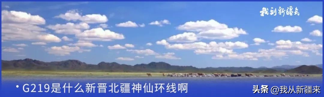 入疆旅游攻略,一篇攻略秒懂新疆