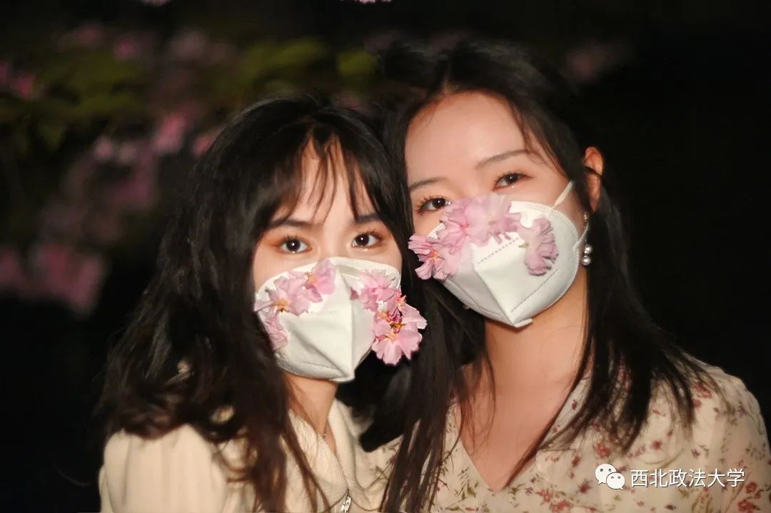 西法大到底是什么,西法大是什么意思网络用语