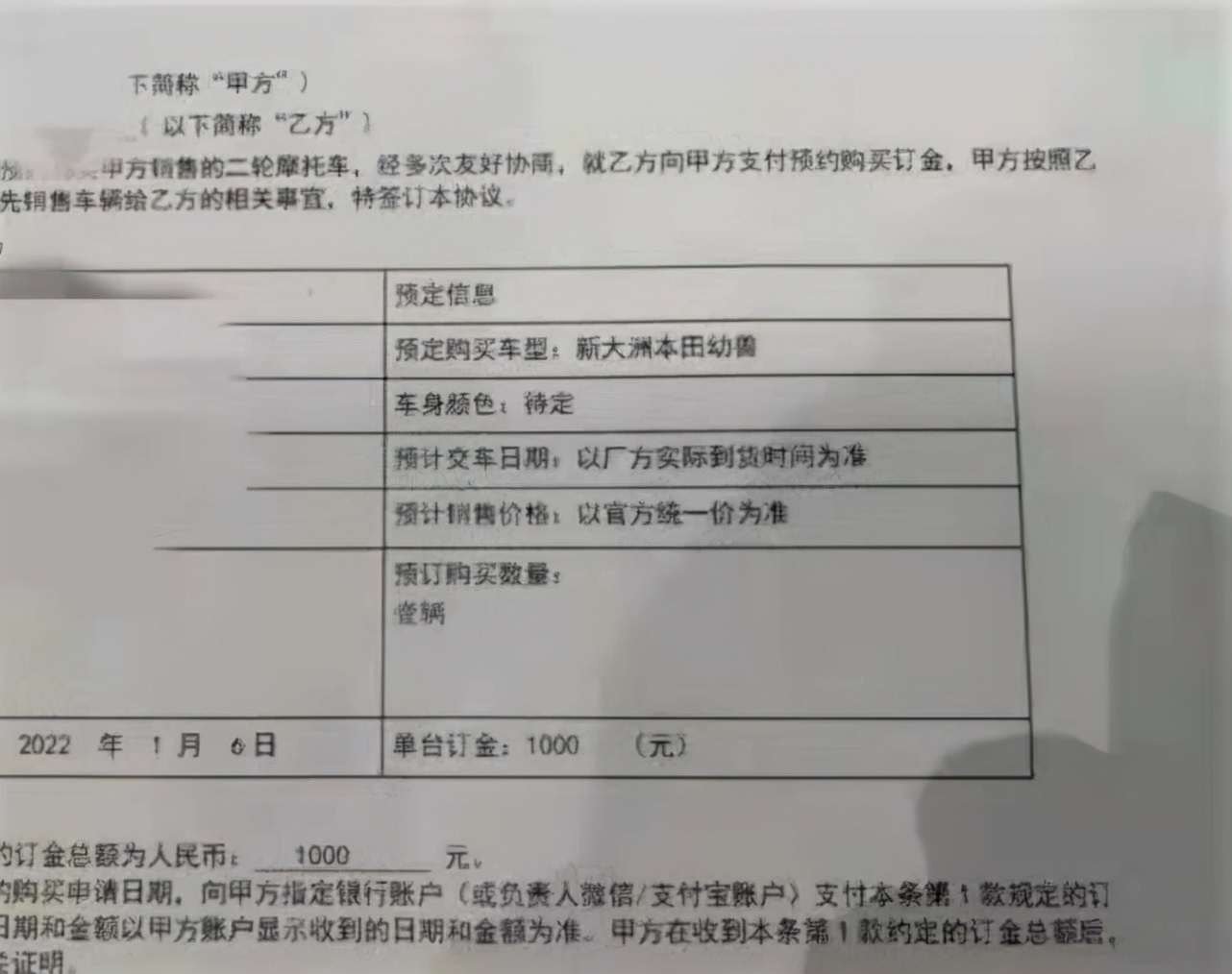 丰田幼兽,丰田幼兽价位