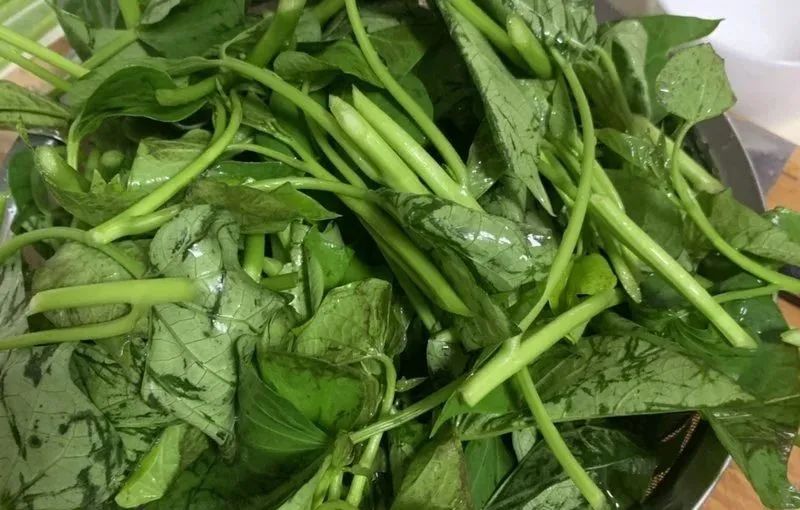 胡萝卜素是白菜的11倍，还是控糖高手！清肝补钙眼睛亮，百岁老人都爱！7月吃最鲜嫩