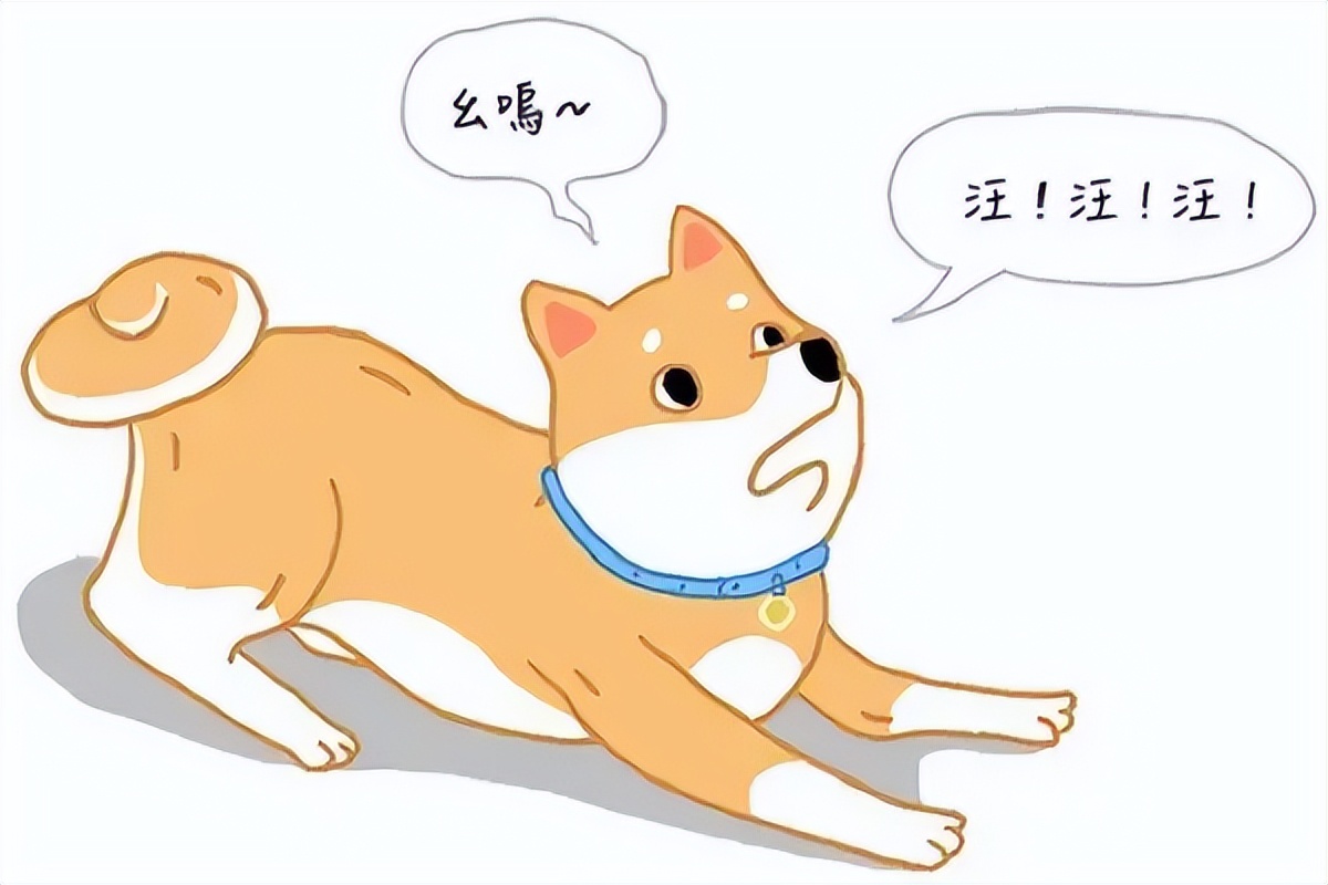 韩大米的狗生观或许可以有所借鉴