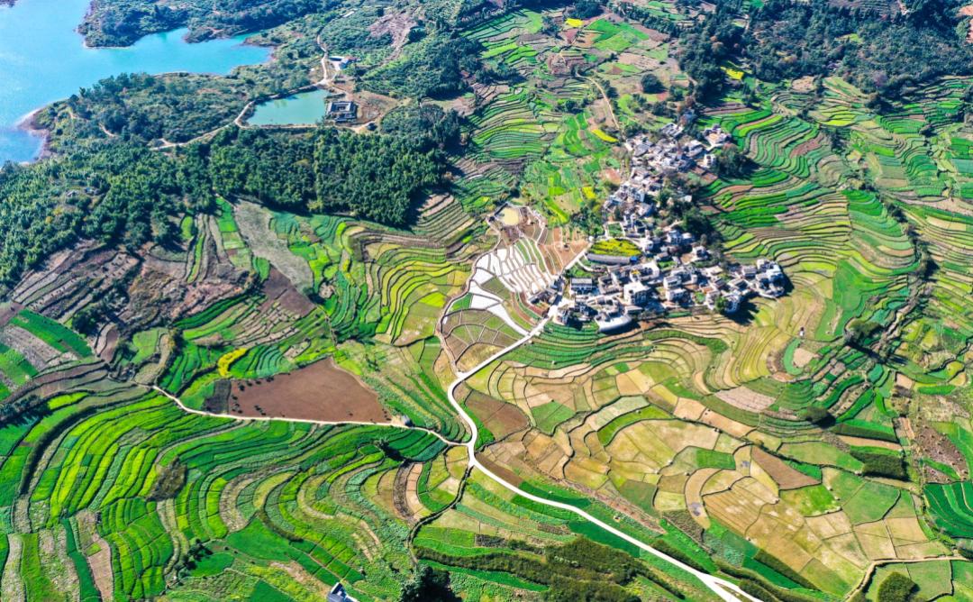 乡村旅游盈利点子,乡村旅游业为什么赚钱