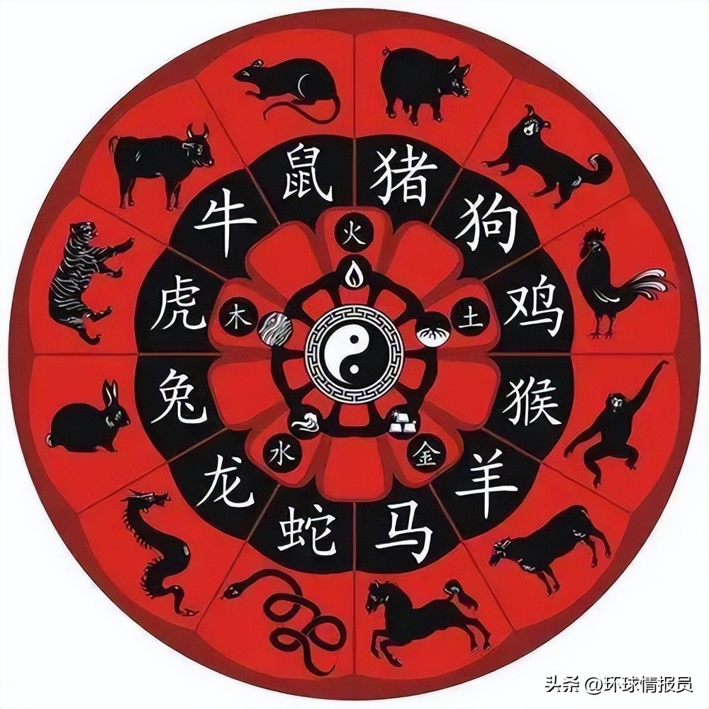 猫为什么没有入选十二生肖,越南为什么把兔年叫猫年