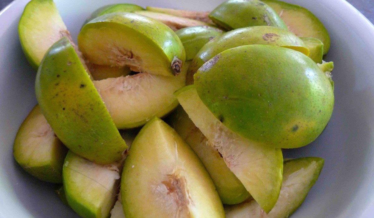 非洲岛国毛里求斯免费水果多到伸手可摘，走走路动动手吃到树上熟