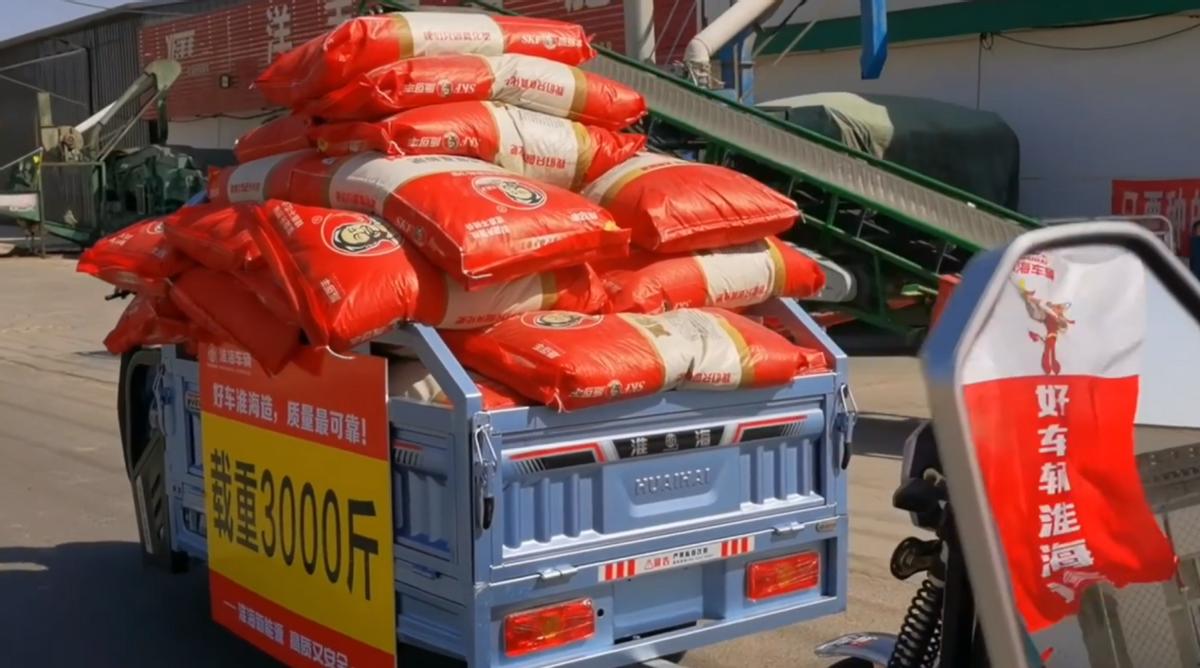 正规电动三轮车什么牌子的最好,现在买电动三轮车哪个牌子好