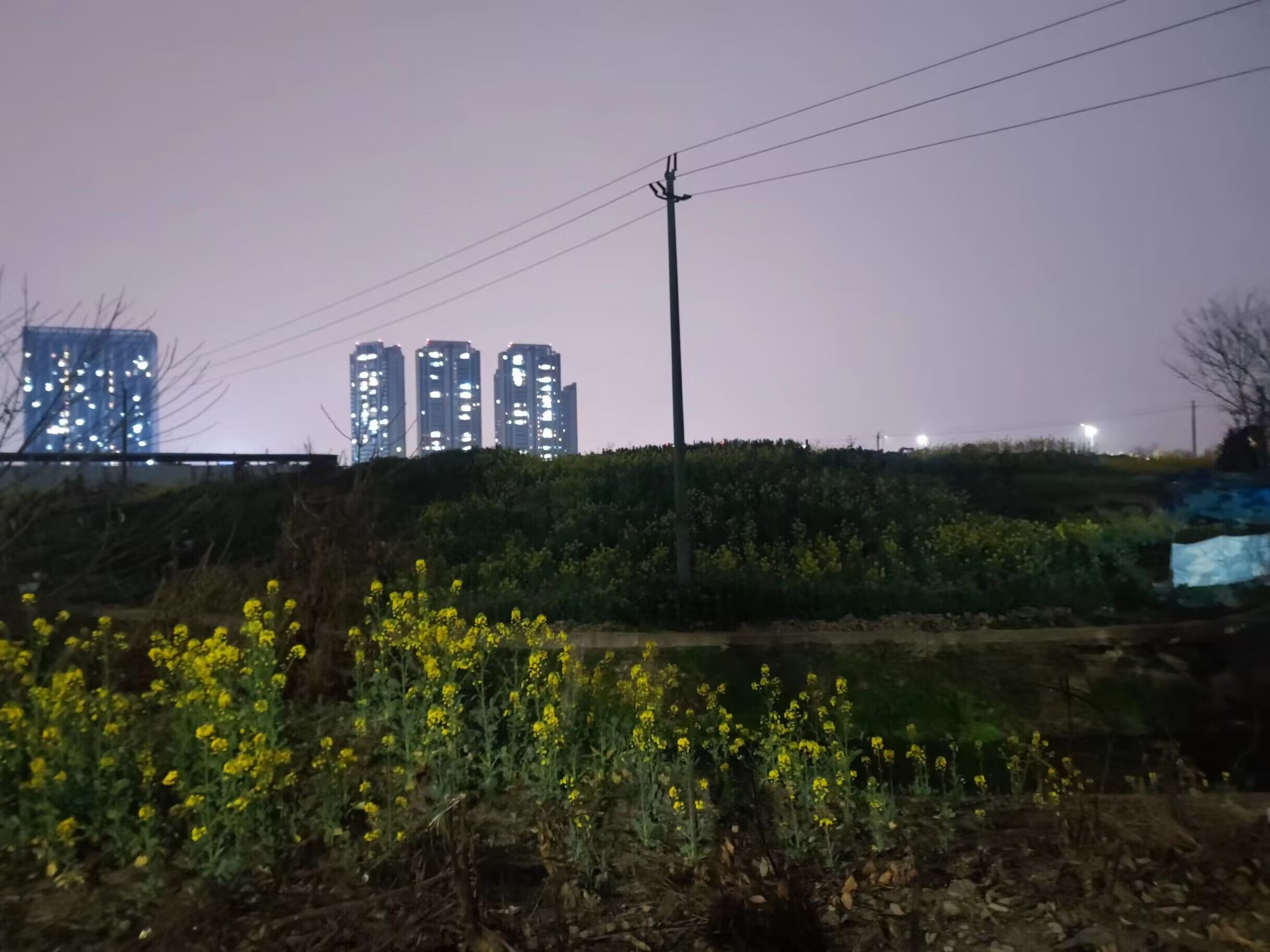 王府井落地成都廖家湾,廖家湾王府井动工了吗最新消息