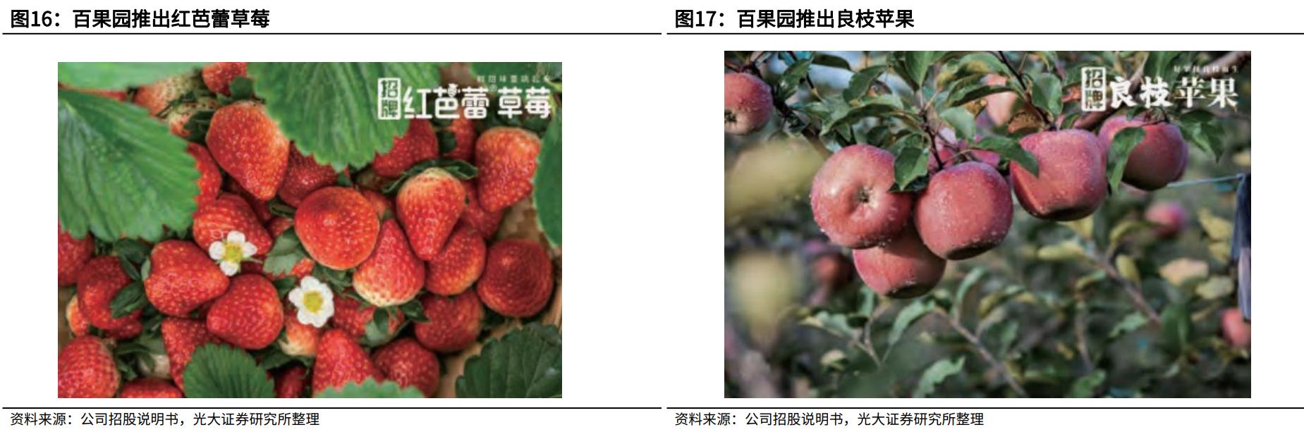 百果园水果连锁店加盟利润大吗,水果店加盟店十大品牌百果园