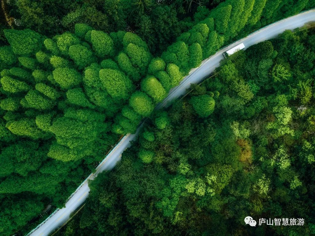 这个七月,这个七月朗读视频