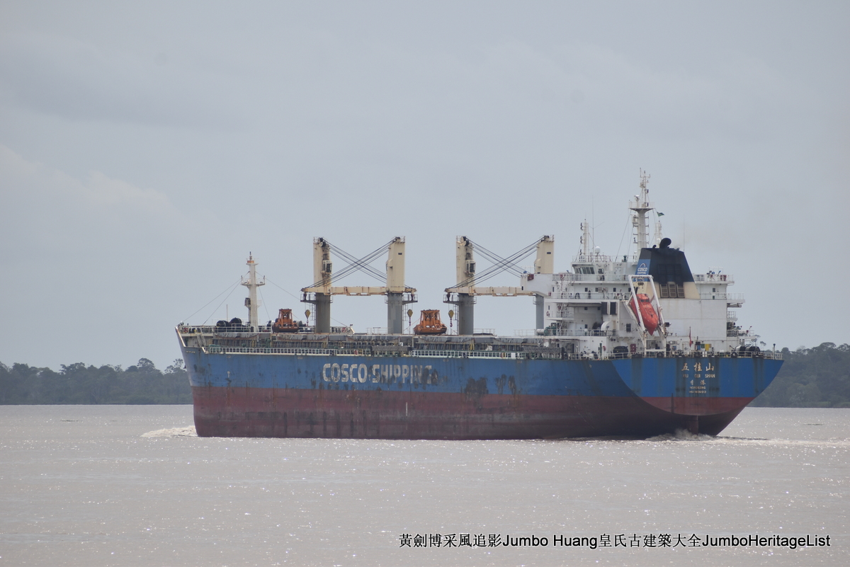 第5047回：消失的亚马逊文明，流失的林下聚居地