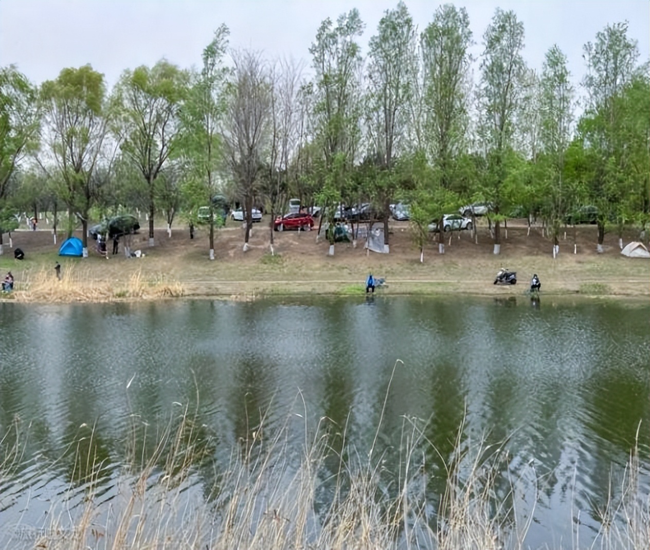 沈阳周边冬季自驾游最佳地点,冬季沈阳附近自驾游最好的地方