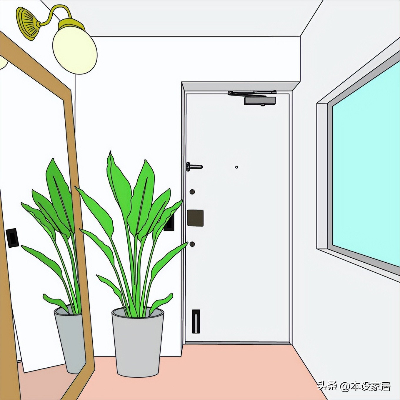 吸甲醛净化空气的绿植和花有哪些,室内净化空气用什么绿植最好