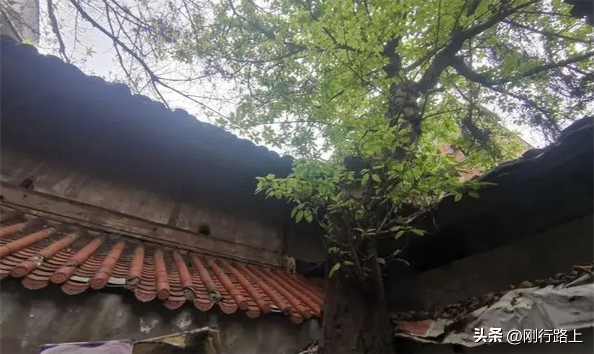 安岳县石刻之都,安岳探房