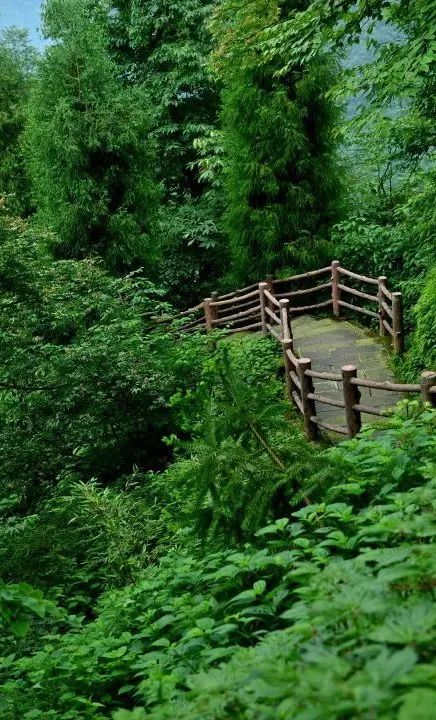 2020五一峨眉山开放的景点,五一峨眉山旅游攻略