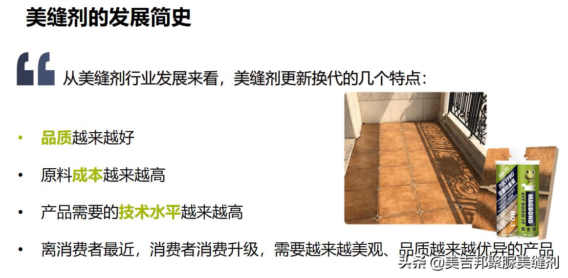 聚脲美缝剂十大排名榜及价格,美吉邦聚脲美缝剂含不含壬基酚