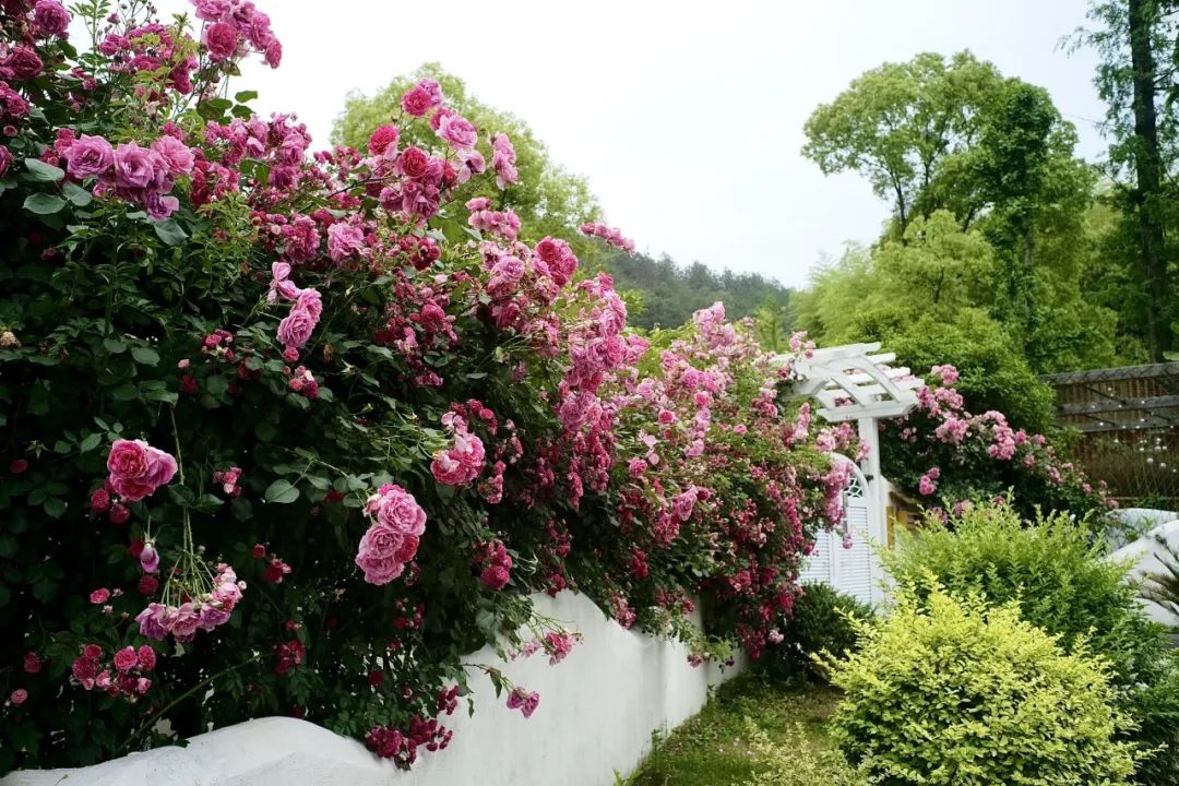 浙江市区度假酒店推荐,浙江轻奢酒店值得推荐