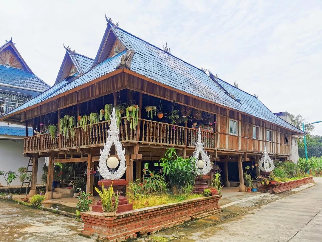 西双版纳七天六夜攻略,西双版纳五天六夜之旅完美结束