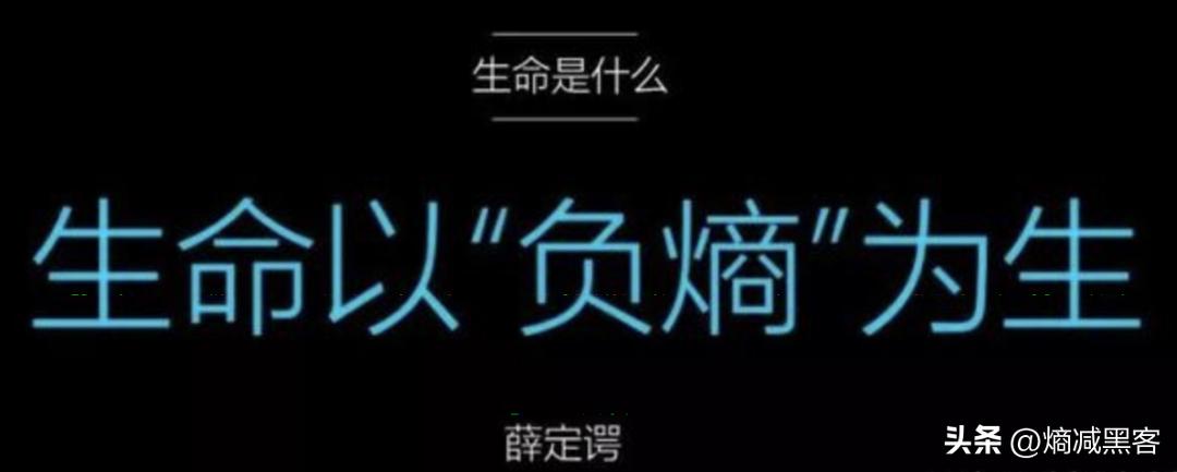 熵增原理对个人成长启发,熵减的人生哲理