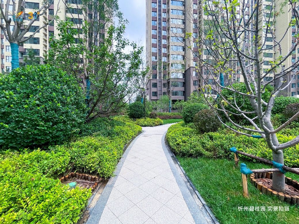 忻州碧桂园大户型,忻州碧桂园一梯一户227平米