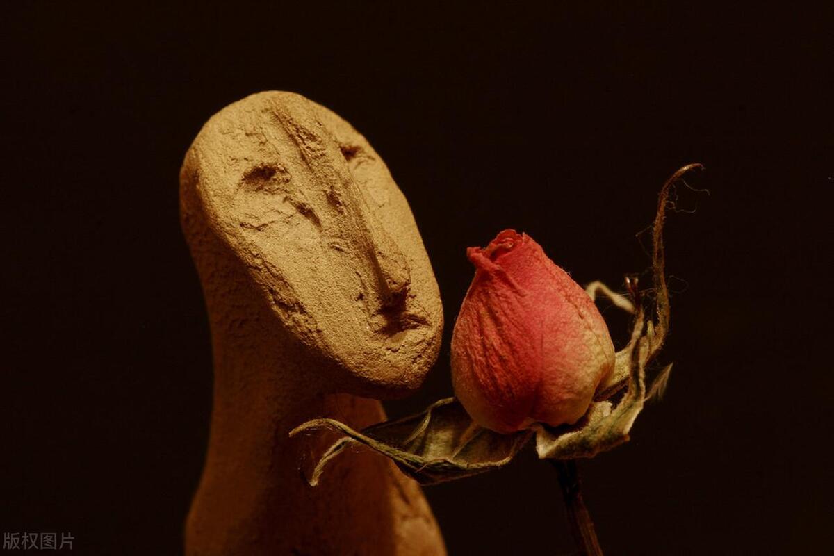 值得推荐八本诗词书,最值得读的书推荐