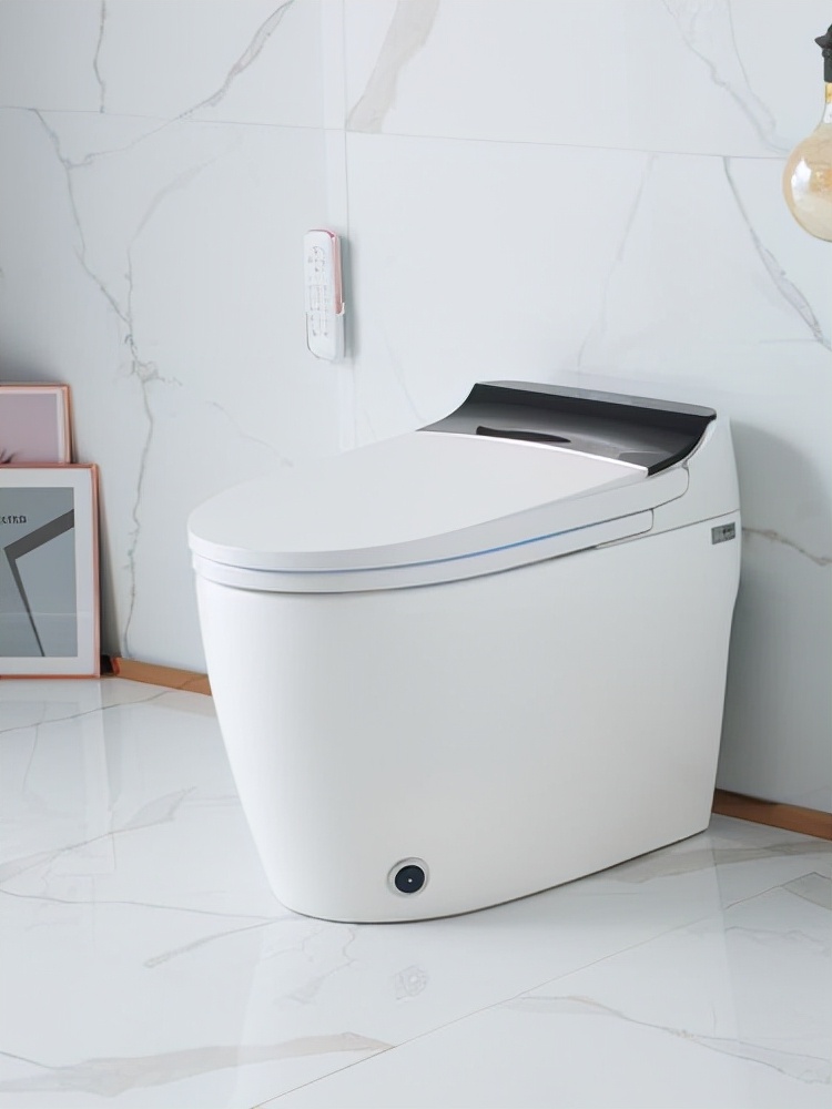 智能马桶真的有必要买么,智能马桶有没有必要买最好的