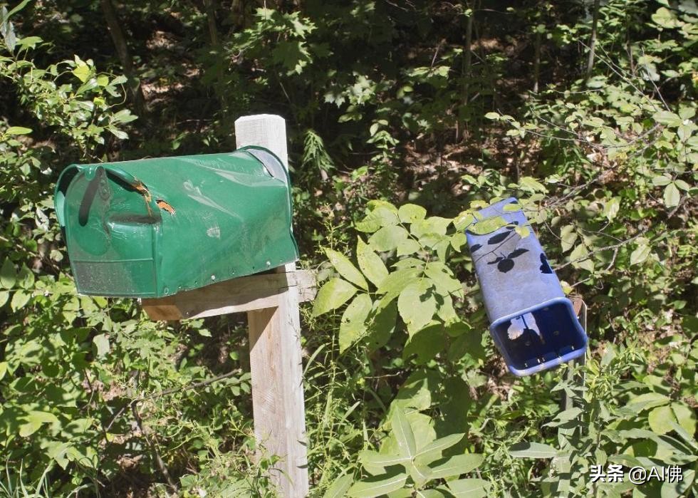 美国明文禁止的50件著名事物