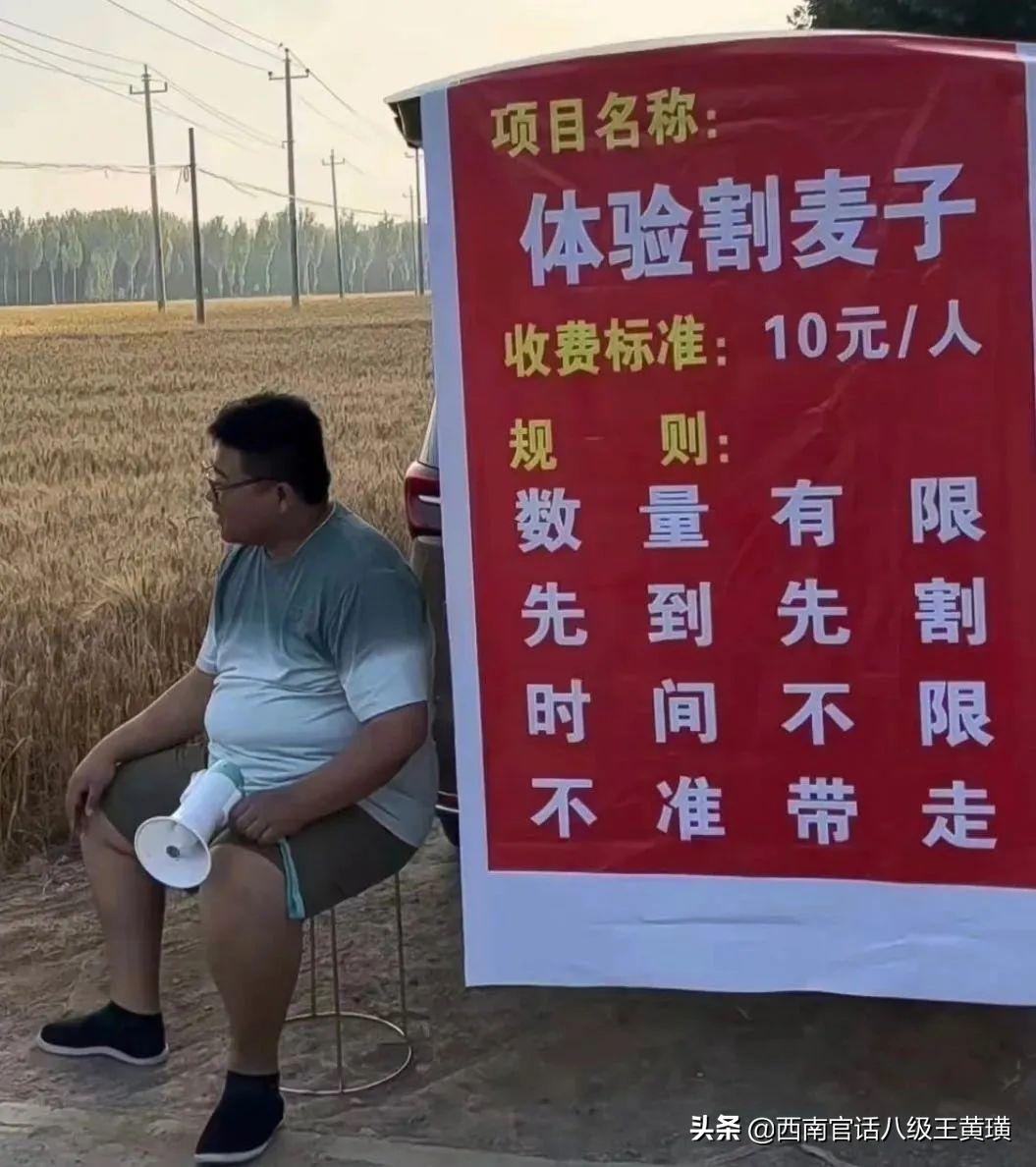 毒舌说地产,毒舌讲房地产