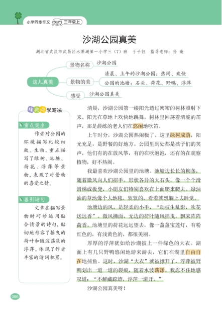 小学生暑假作文怎么写讲解,小学生暑假作文怎么写