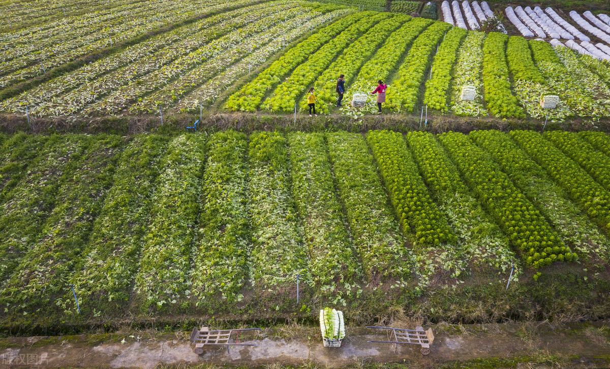她的创业史,讲述他的创业故事