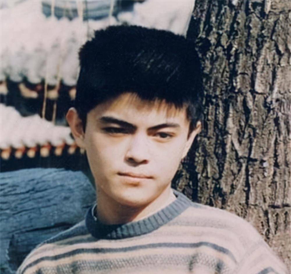 80年代红得快沉得也快的十位男星有的去世早有的个性强有的毁前程