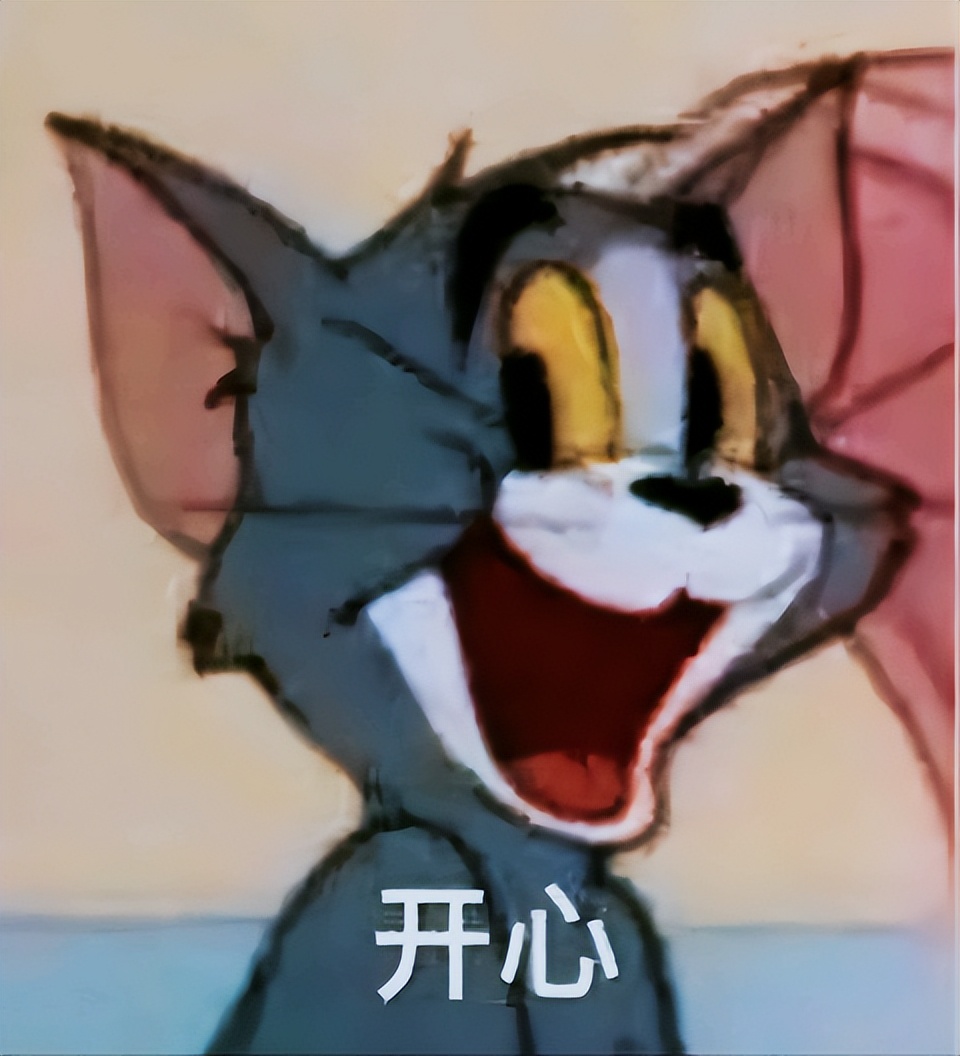 收入太低如何解决？砖家：“用私家车拉活，空的房子租出去收钱”