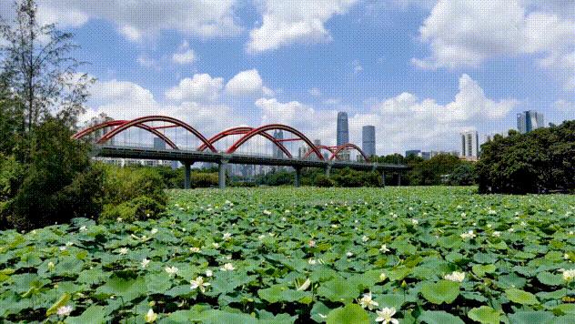深圳人游玩推荐,深圳人爬山看海
