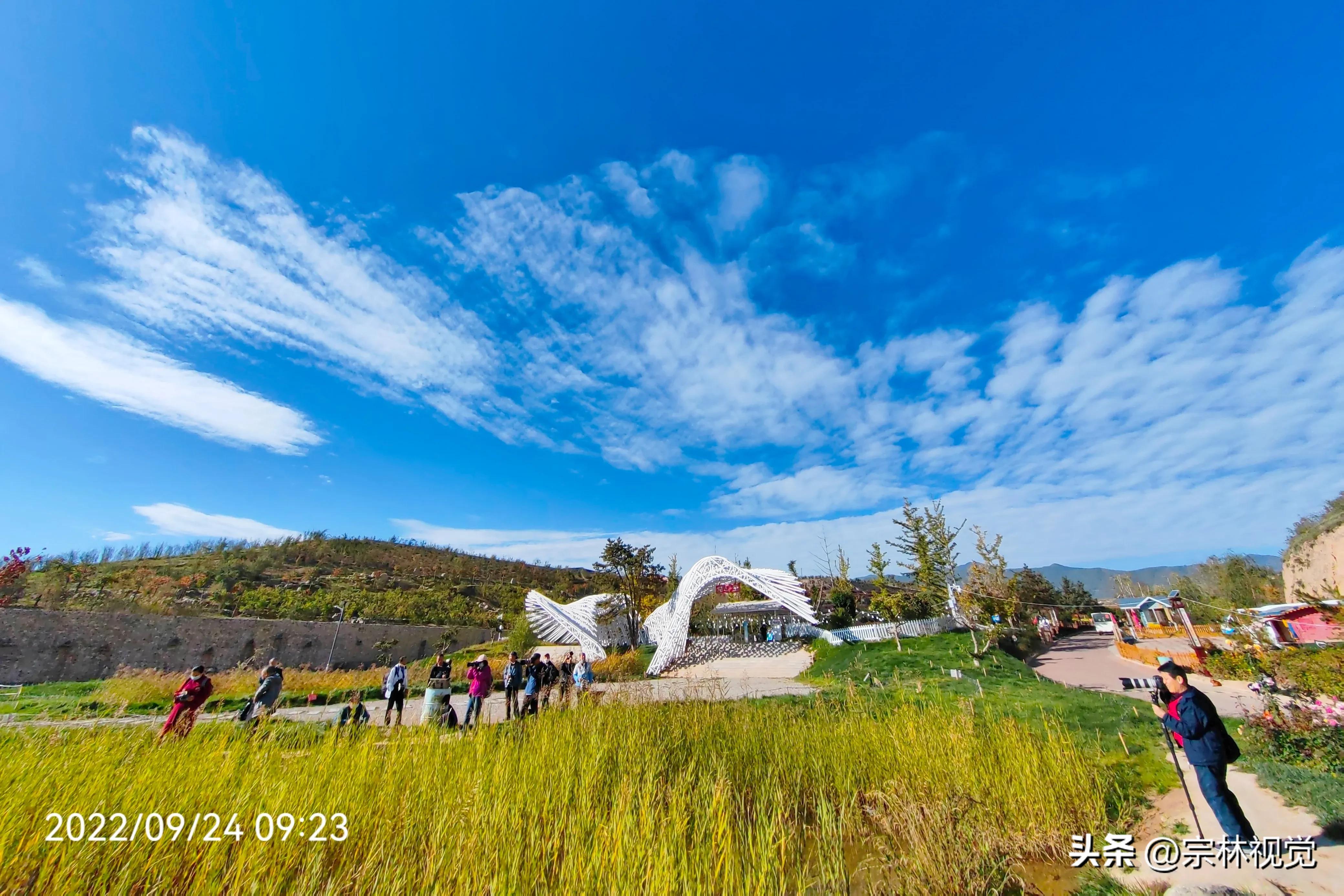 蓝天白云花海摄影高清图,蓝天白云花田滤镜搭配
