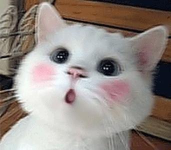 让男人爱到骨子里的三大生肖女,真正让男人爱到骨子里的女人