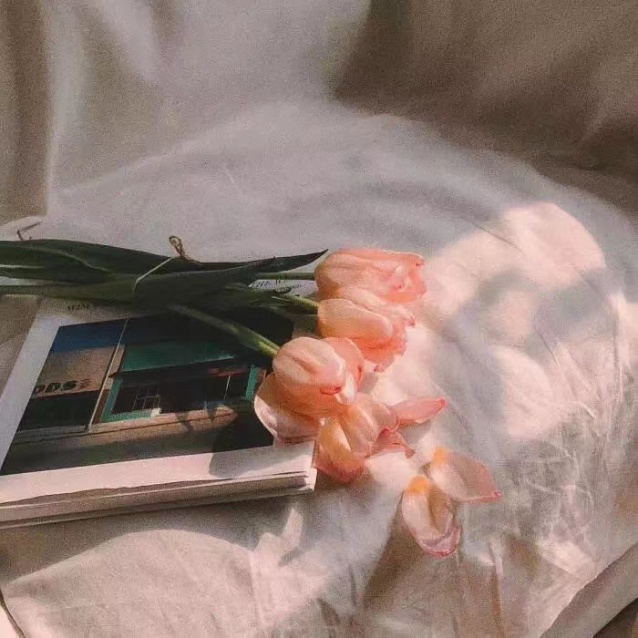 正清园小说项目违法吗,正清园小说项目靠谱么