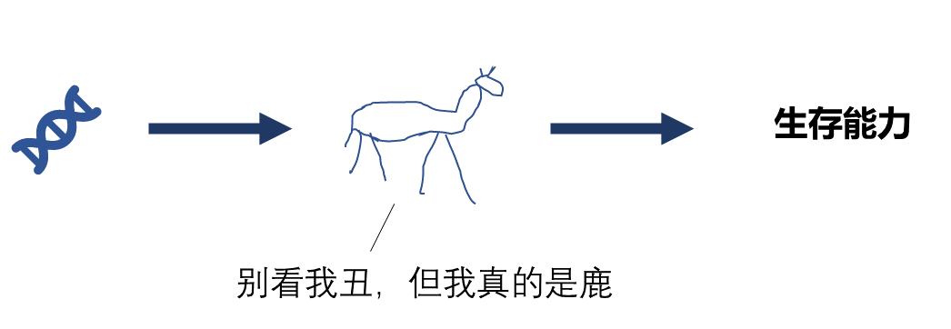 生物老师教数学,生物老师讲数学题