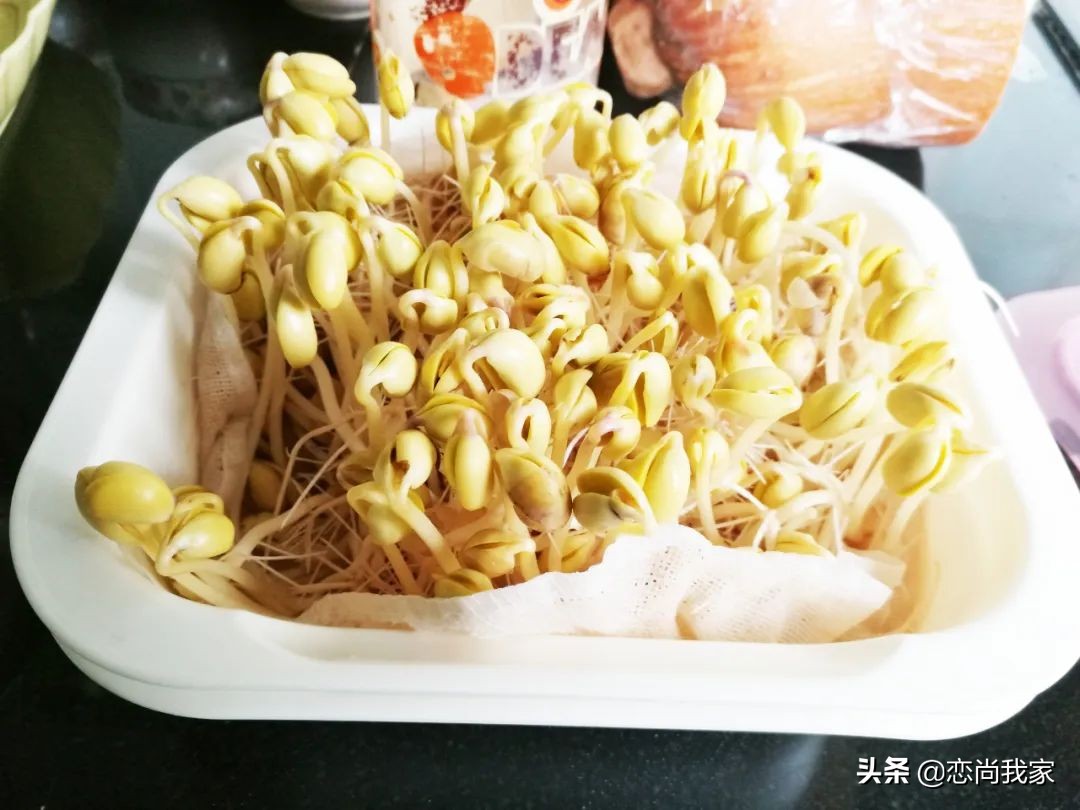 生黄豆芽老是烂豆是什么原因,怎样焯黄豆芽才又鲜又脆