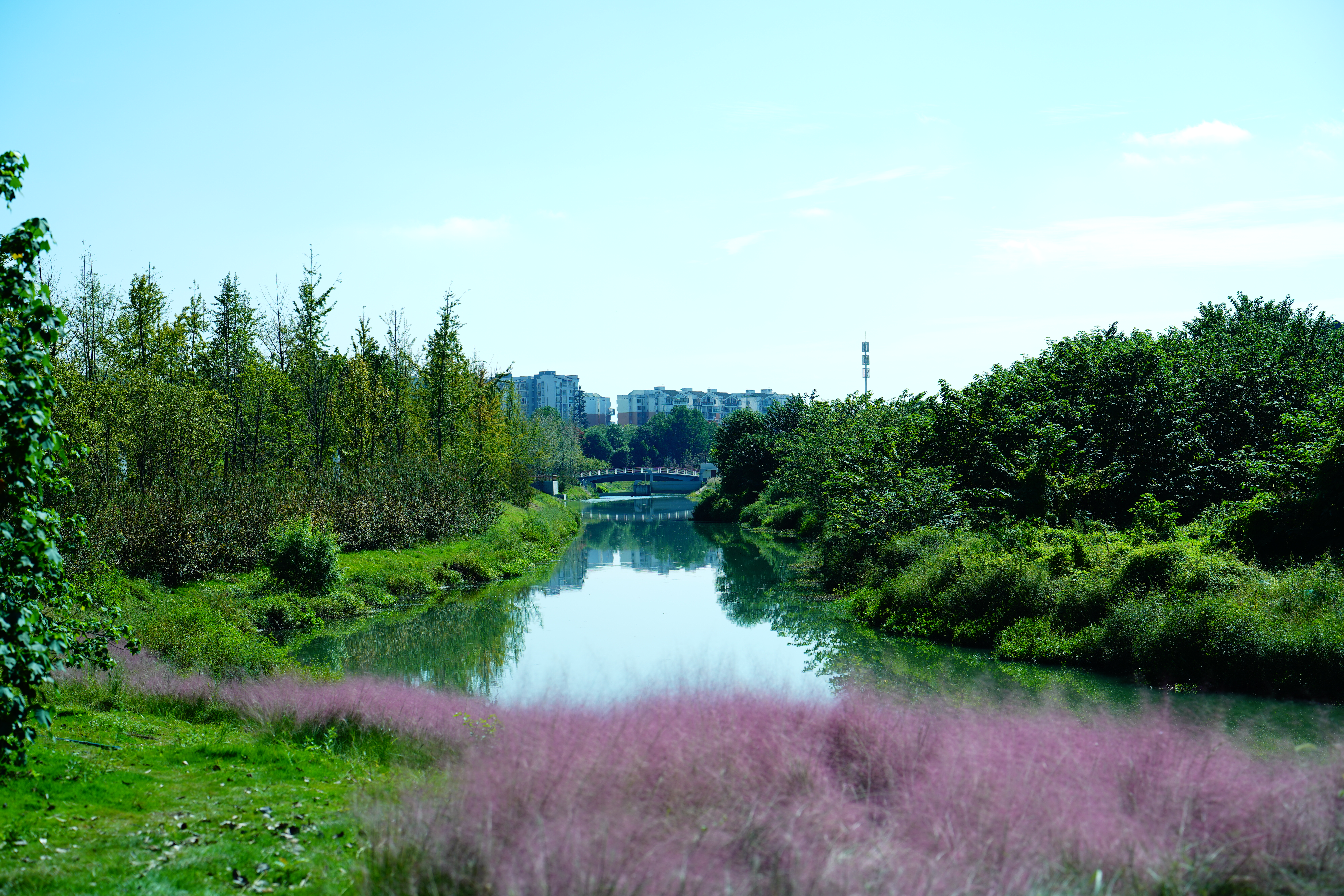 今年国庆假期有哪些景点,国庆期间我市景区活动多
