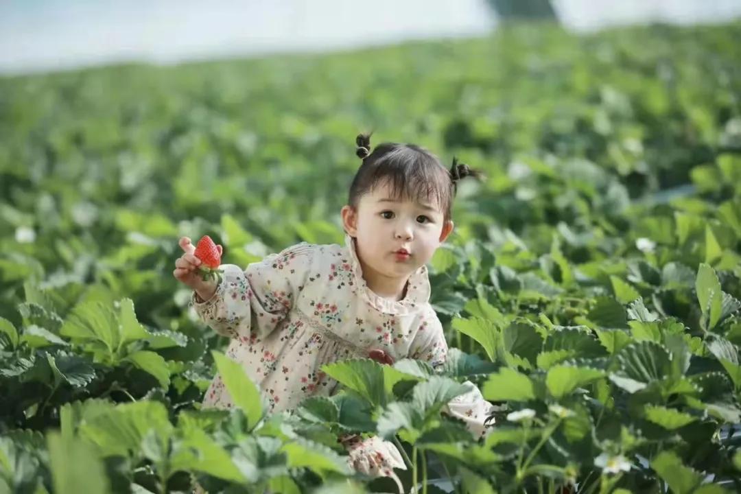 藏马山阿朵花屿攻略冬季,春节假期阿朵花屿攻略