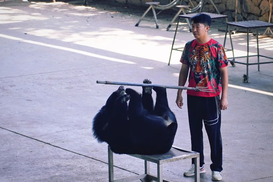 安吉亲子旅游必去的景点,安吉最新亲子旅游度假