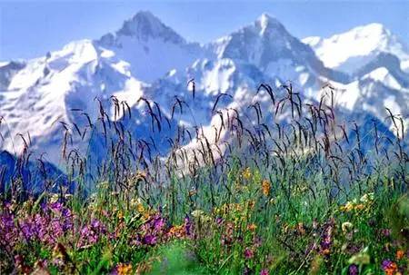 这条惊艳奇绝的公路,行走在天山脊梁上的最美景观公路