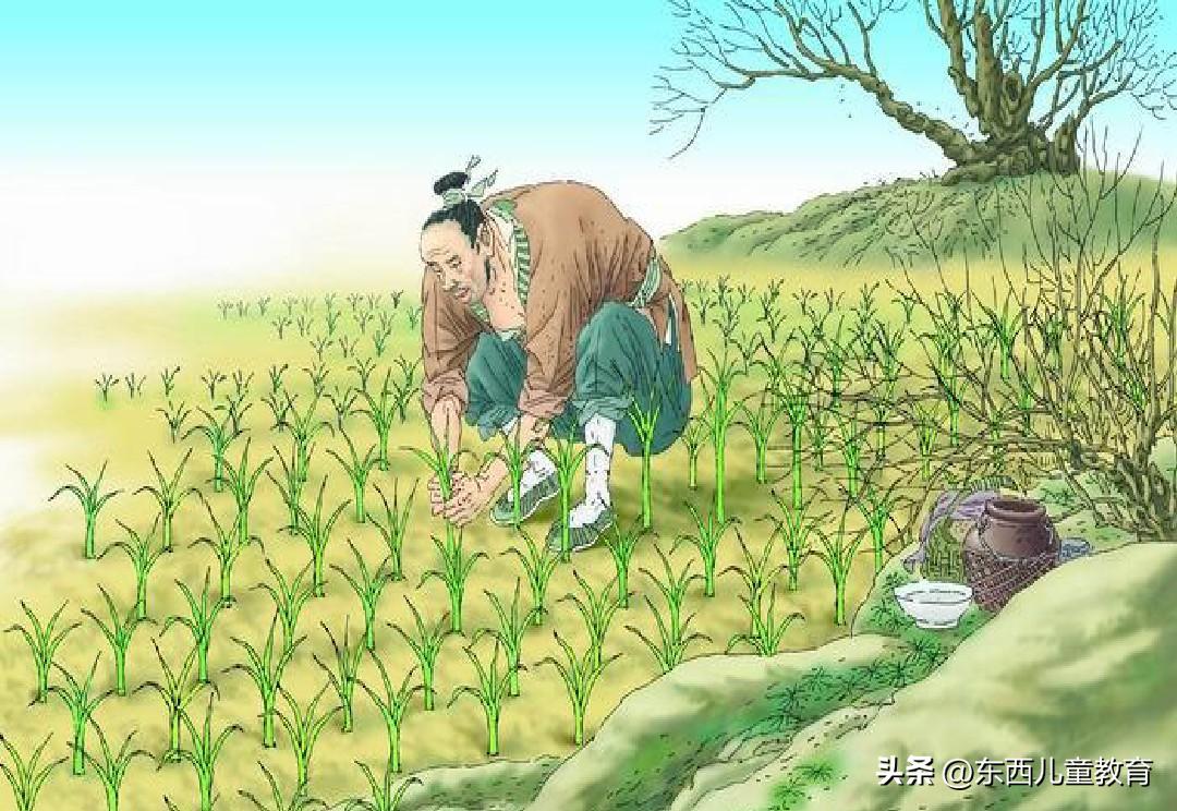 孟子讨好型人格,讨好型人格跟高情商的区别