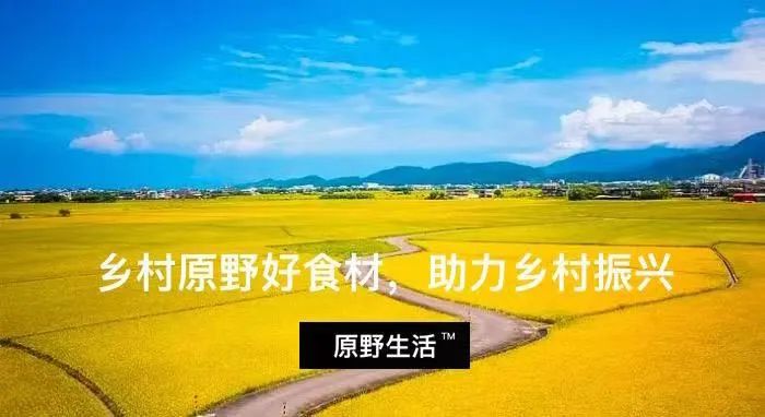 00后大学生创业小故事,创业故事新农人