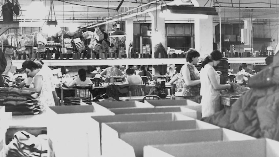 加拿大鹅处罚可能引发消费者维权,加拿大鹅处罚书为何获赞