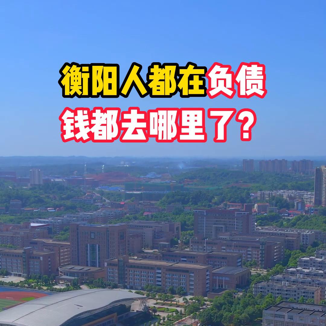 开发商负债老百姓负债钱去哪了,负债那么多钱到哪里去了